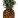 pineapple theme by julian klewes